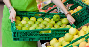 Se solicita Personal para Empacado de frutas y verduras para este 2024-2025 | POSTULA YA